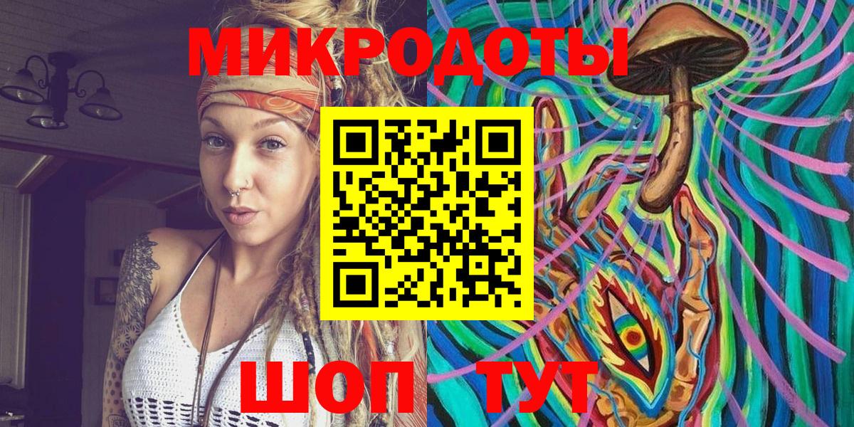 Псилоцибиновые грибы Cubensis Железногорск